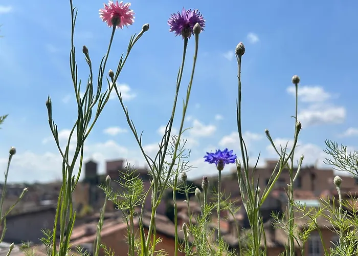 Panoramic Terrace Trastevere Apartment, With Amazing View Rom